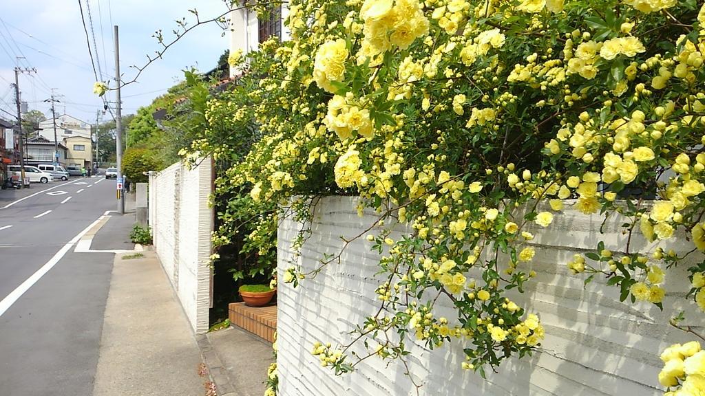 ホテル Le Blanc 京都市 エクステリア 写真